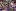 04-pred680pl.webp