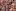 11-rbd992pl.webp