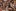 15-jur354pl.webp