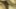 28e08XmrvOfAK1.jpg