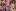 43-pppd828pl.webp