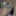 LyQpd7P39GtRGqO