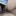 PqBLeVbp98i03kx
