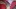 Q170XoW76VF0lJB.jpg