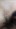 gms2q659zol4.jpg
