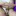 mxhftxuoh64n