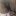 pbLM8Jm1Owcr8Zz