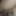yrLxrA01qqS16pe